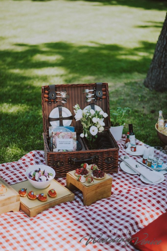 001-wedding-proposal-pic-nic-venice