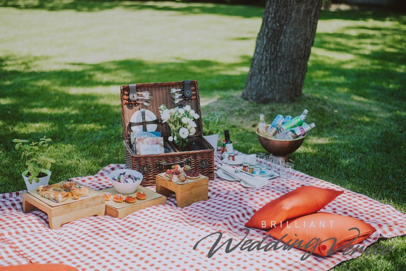 003-wedding-proposal-pic-nic-venice
