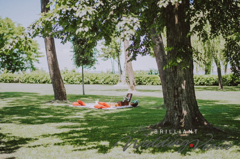 008-wedding-proposal-pic-nic-venice