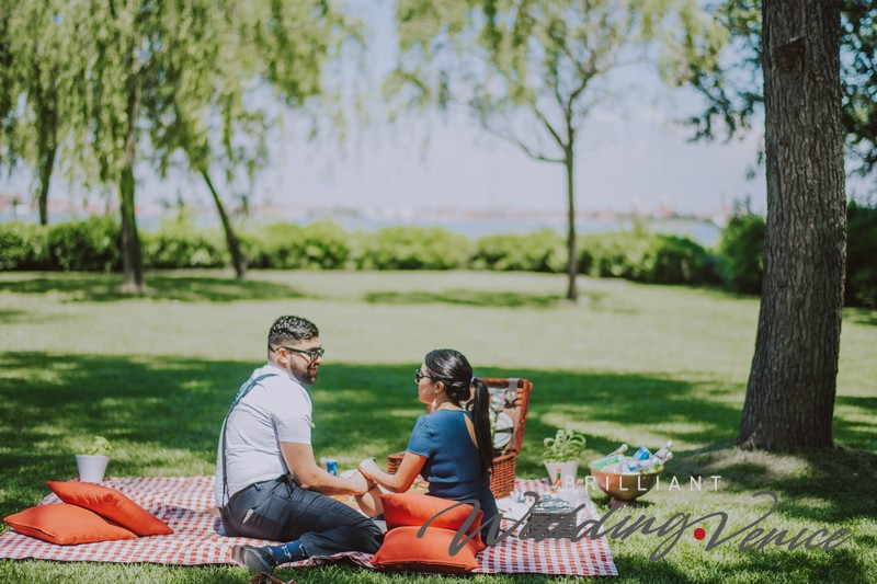 011-wedding-proposal-pic-nic-venice