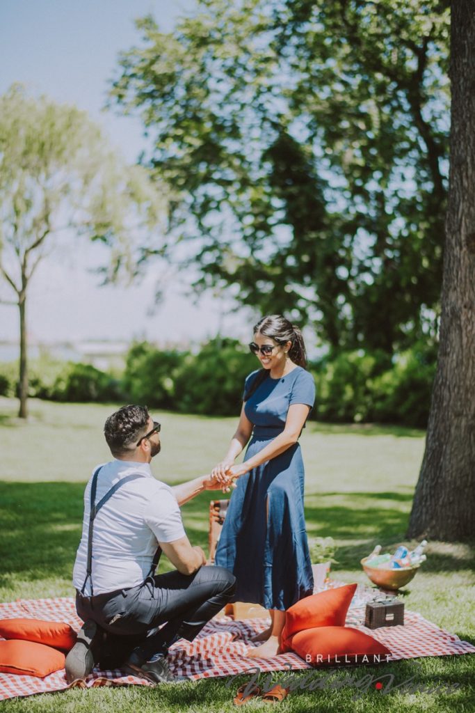 012-wedding-proposal-pic-nic-venice
