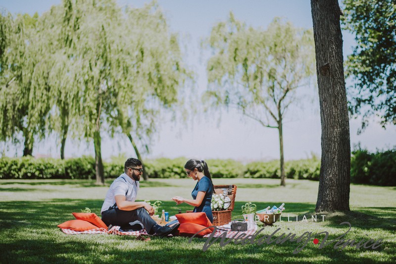 023-wedding-proposal-pic-nic-venice