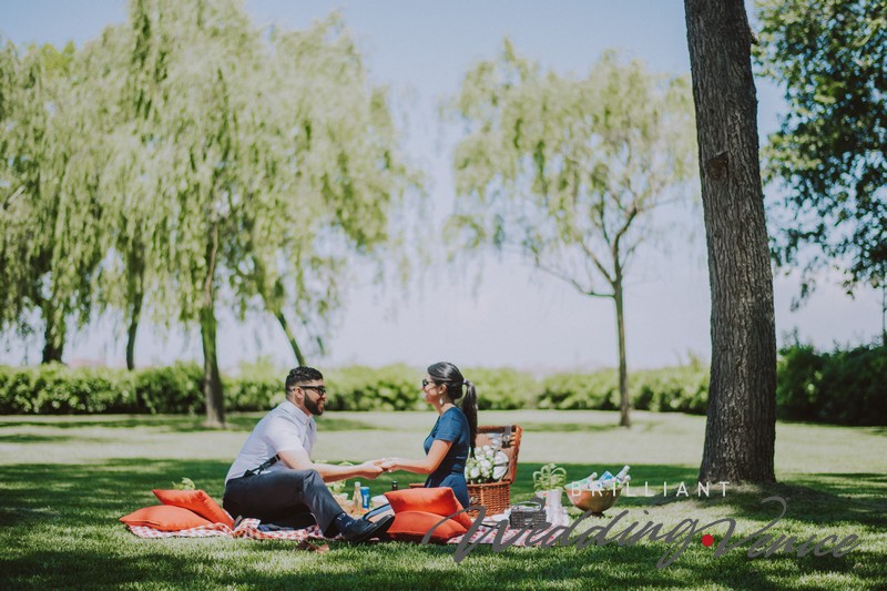 024-wedding-proposal-pic-nic-venice